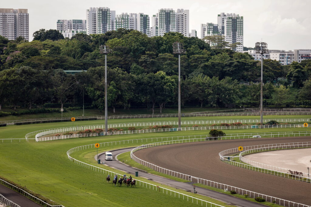 Caii se întrec pe pistă, în timp ce blocuri înalte de locuințe publice sunt văzute în fundal, la Singapore Turf Club din Kranji, Singapore, 11 iunie 2023 (REUTERS/Edgar Su)