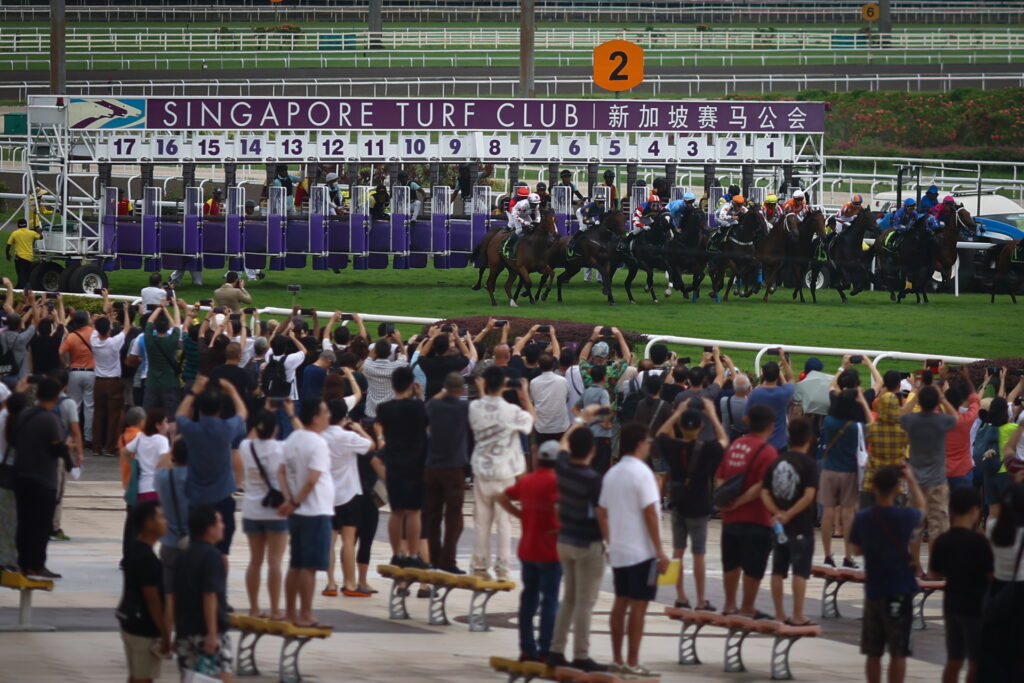 Spectatorii urmăresc cum caii sprintează din boxele lor de start în timpul ultimei curse a Singapore Turf Club din Kranji, Singapore, 5 octombrie 2024  (REUTERS/Edgar Su)