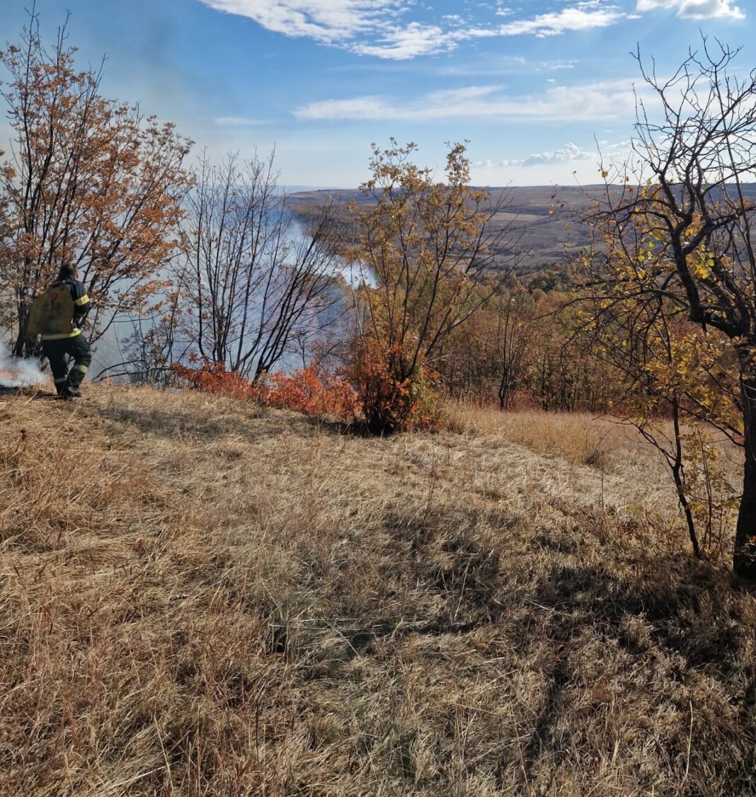 Incendiul a cuprins o suprafață de circa 130 de hectare de vegetație uscată