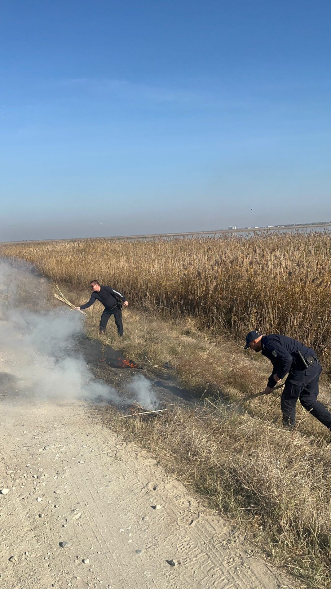 Intervenție a jandarmilor pentru stingerea unui incendiu de vegetație