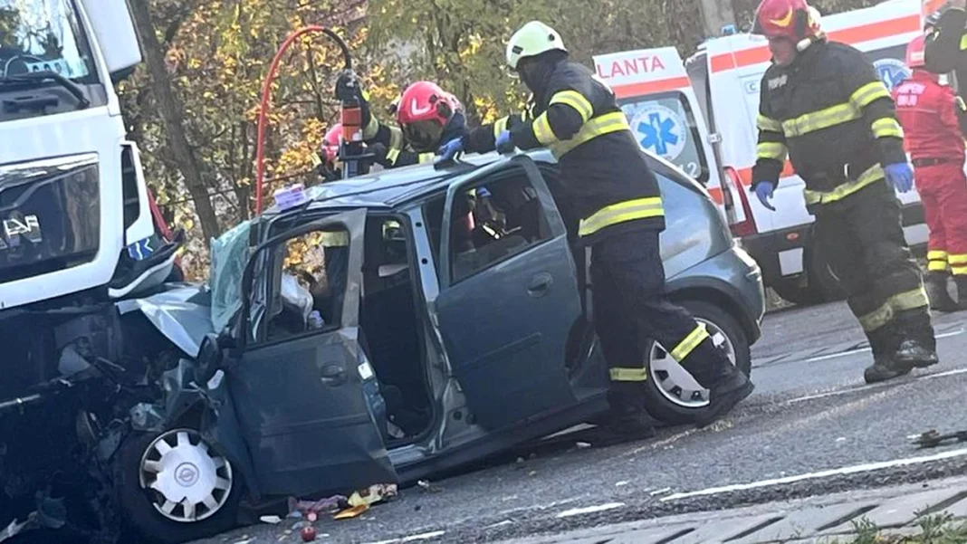 Patru oameni au murit după ce un șofer a intrat într-un TIR încercând să evite o căprioară