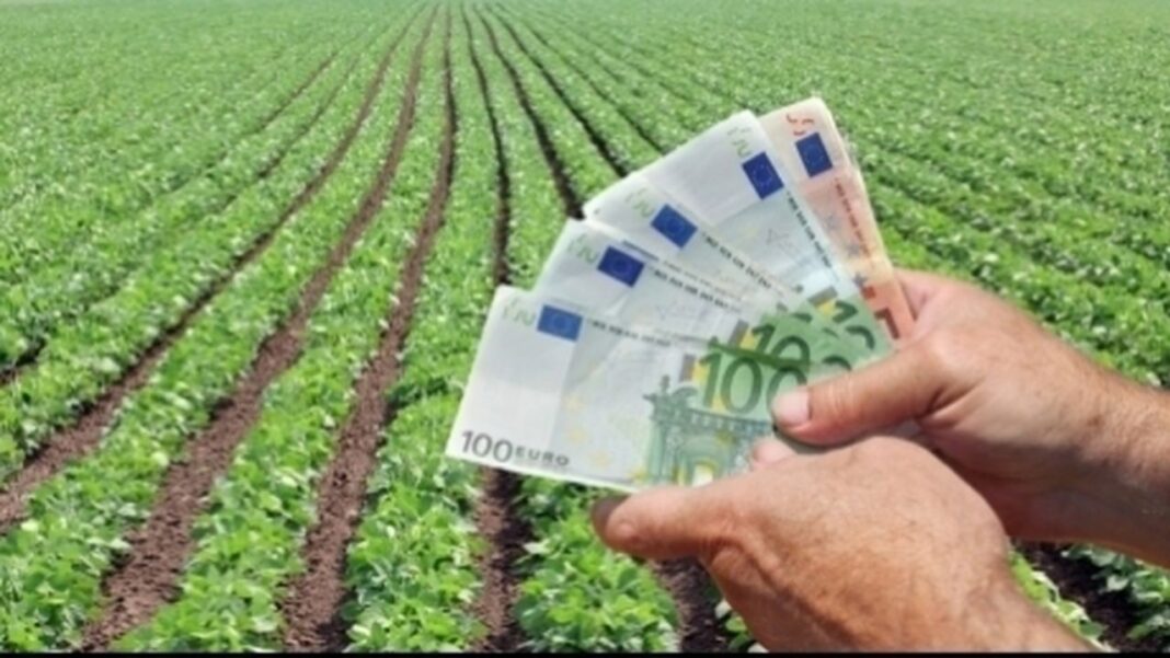 Miniştrii Agriculturii vor discuta despre situaţia pieţei, la Bruxelles