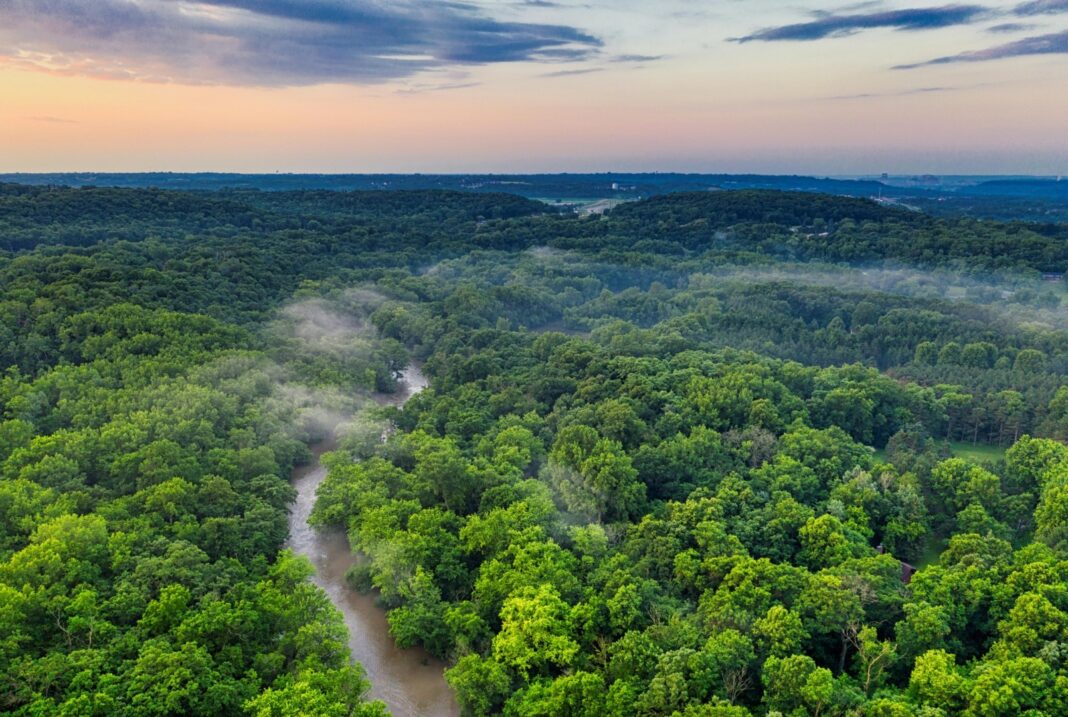 Joe Biden vizitează pădurea tropicală amazoniană