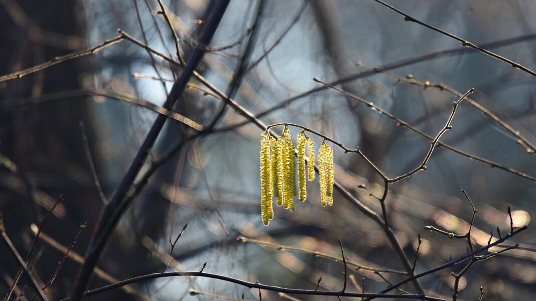 Cum va fi vremea în ultima lună de iarnă