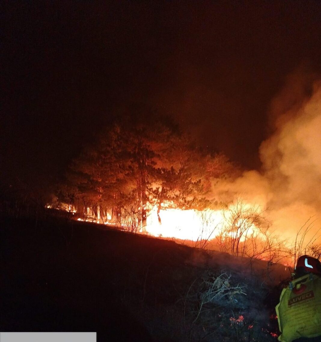 Incendiu la fond forestier pe raza localității Isverna