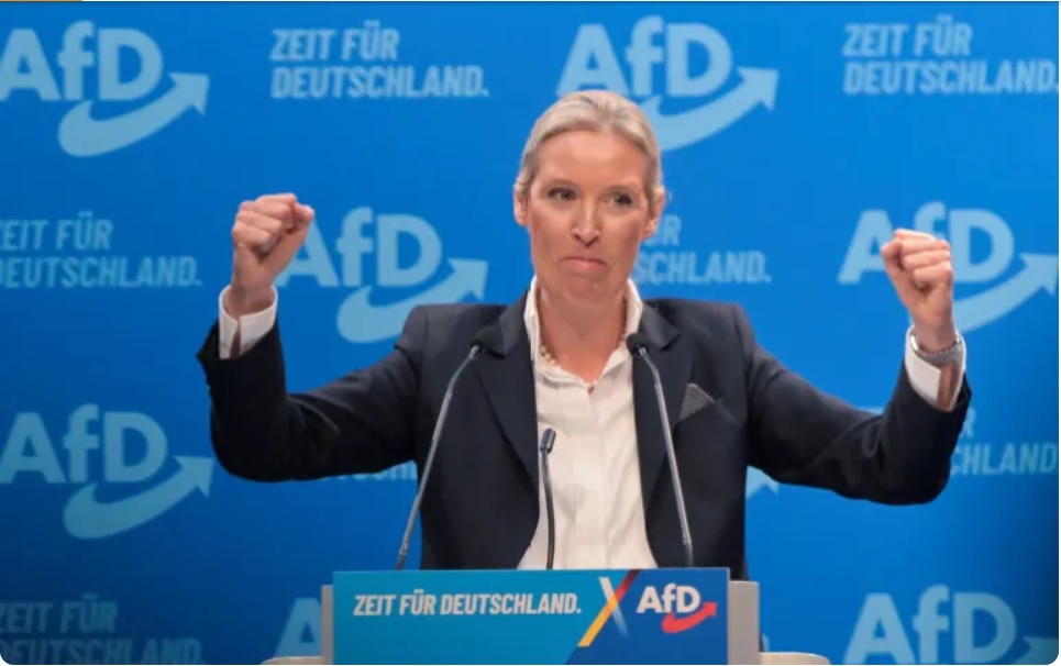 Alice Weidel, co-liderul Partidului Alternativa pentru Germania, gesticulează după ce a fost aleasă în calitate de cel mai bun candidat la funcția de cancelar la viitoarele alegeri generale la un congres al partidului de la Riesa, Germania, pe 11 ianuarie