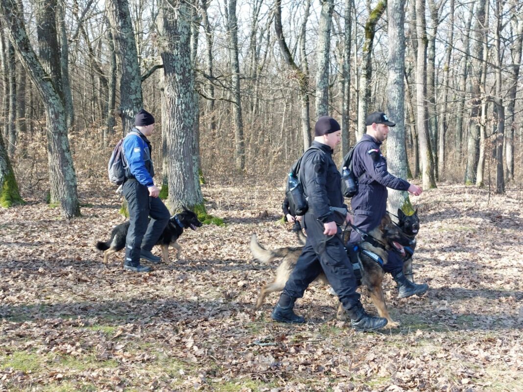 Anchetă a poliţiştilor după ce într-o pădure din Mogoşoaia a fost găsită o persoană împuşcată