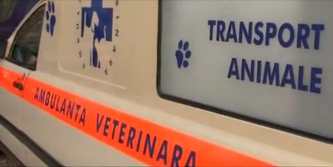 Ambulanța pentru animale