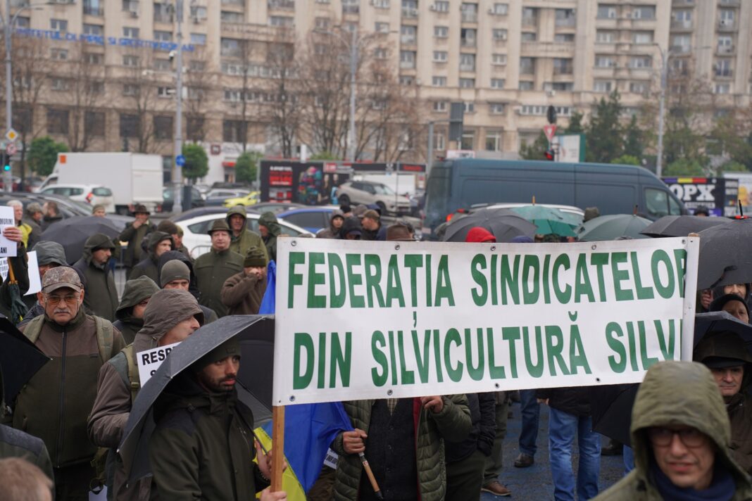 Silvicultorii protestează la Ministerul Mediului