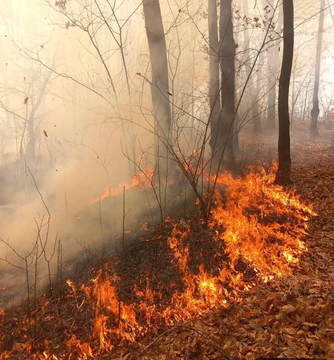 Gorj: 72 de incendii de vegetație în trei zile